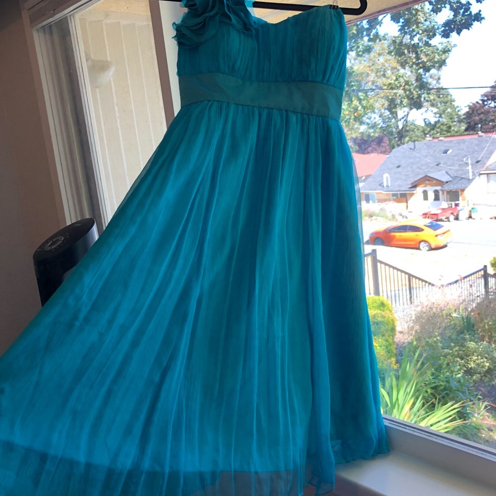 Silk FEVER dress size 4